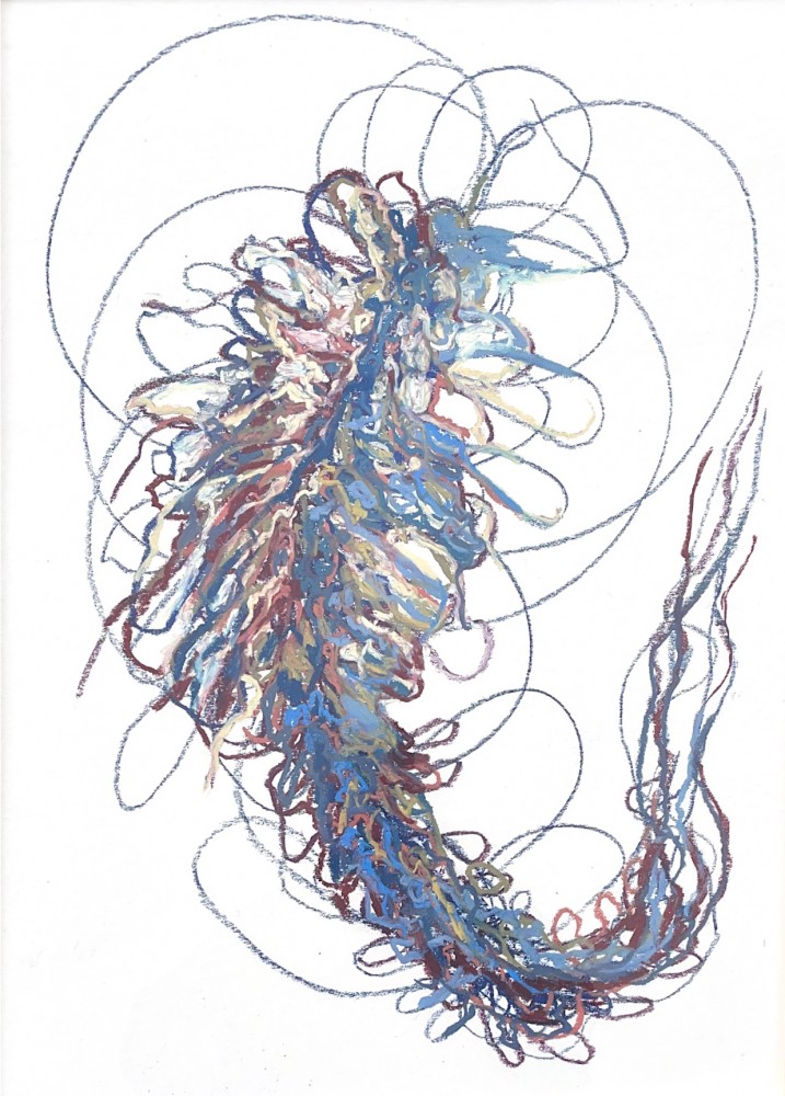 Entdeckungen