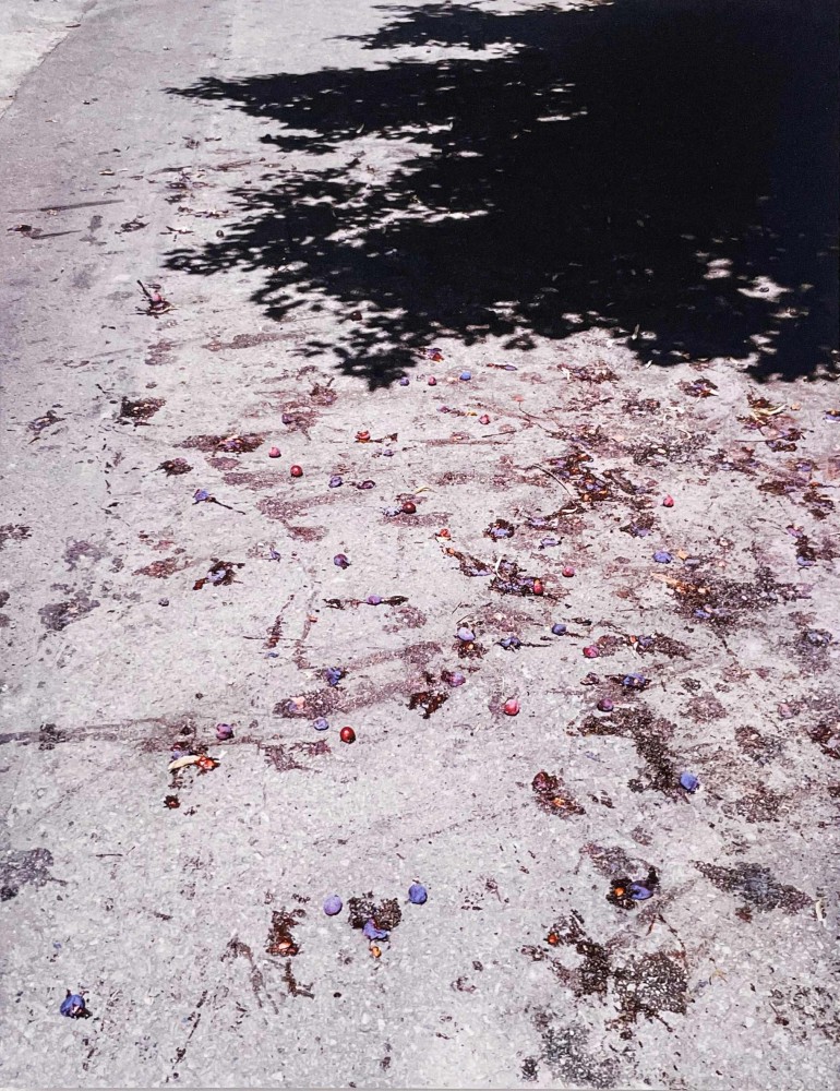 untitled (Pflaumen)